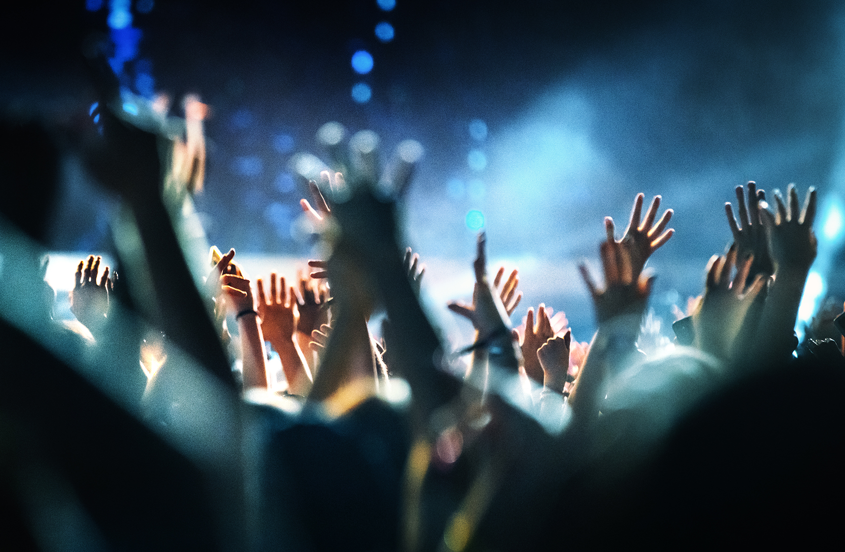 News - Nuits Sonores