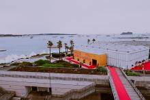 Festival de Cannes